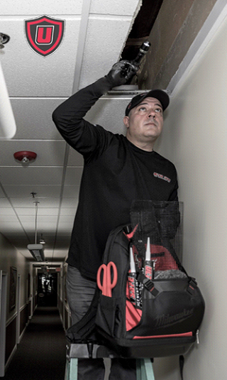 Pest Inspection Experts - Ultra Safe Pest Management | Boston ...