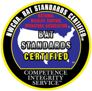 Ultra Safe Certified Bat Removal Experts