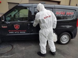 Commercial Sanitizing & Remediation Services