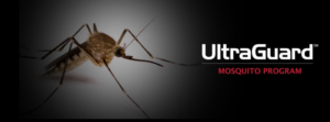 UltraGuard Mosquito Treatment Program In Massachusetts