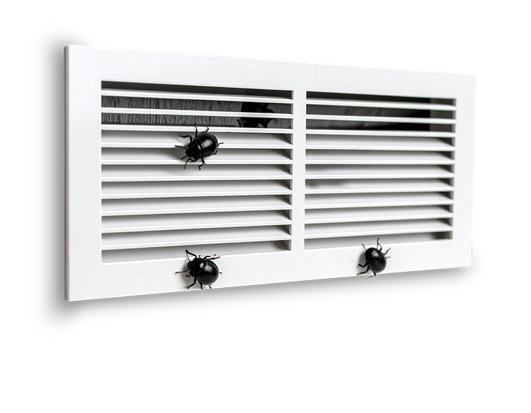 a white vent with black bugs on it